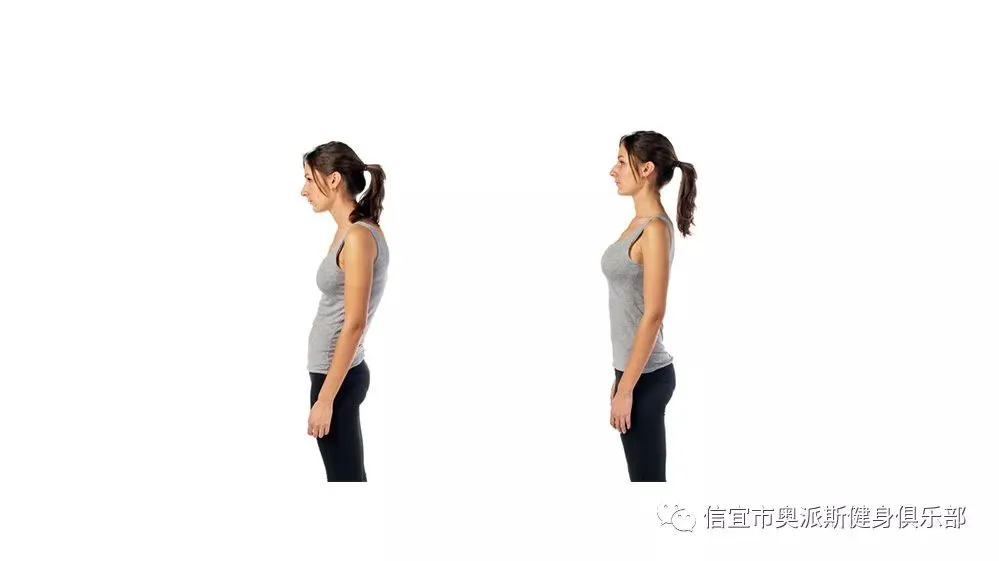 篮球教练队长训练计划书范文怎么写_2